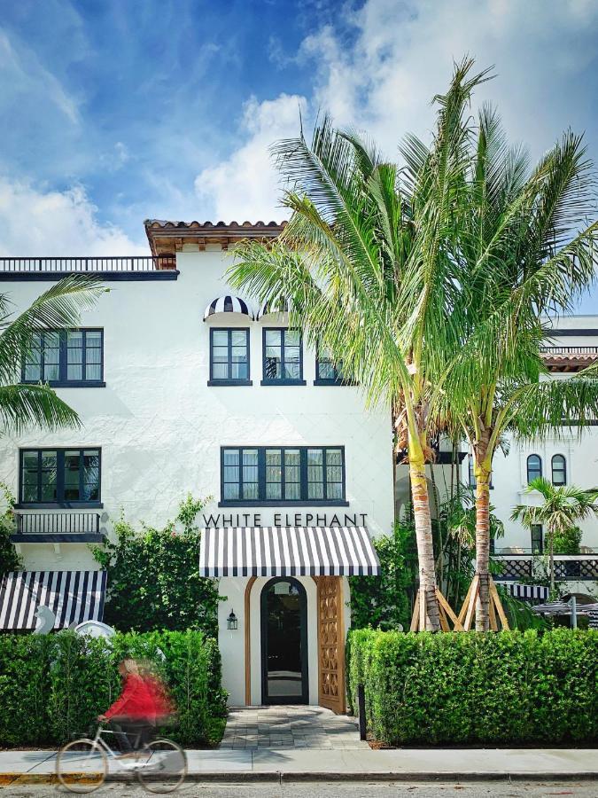 Hotel White Elephant Palm