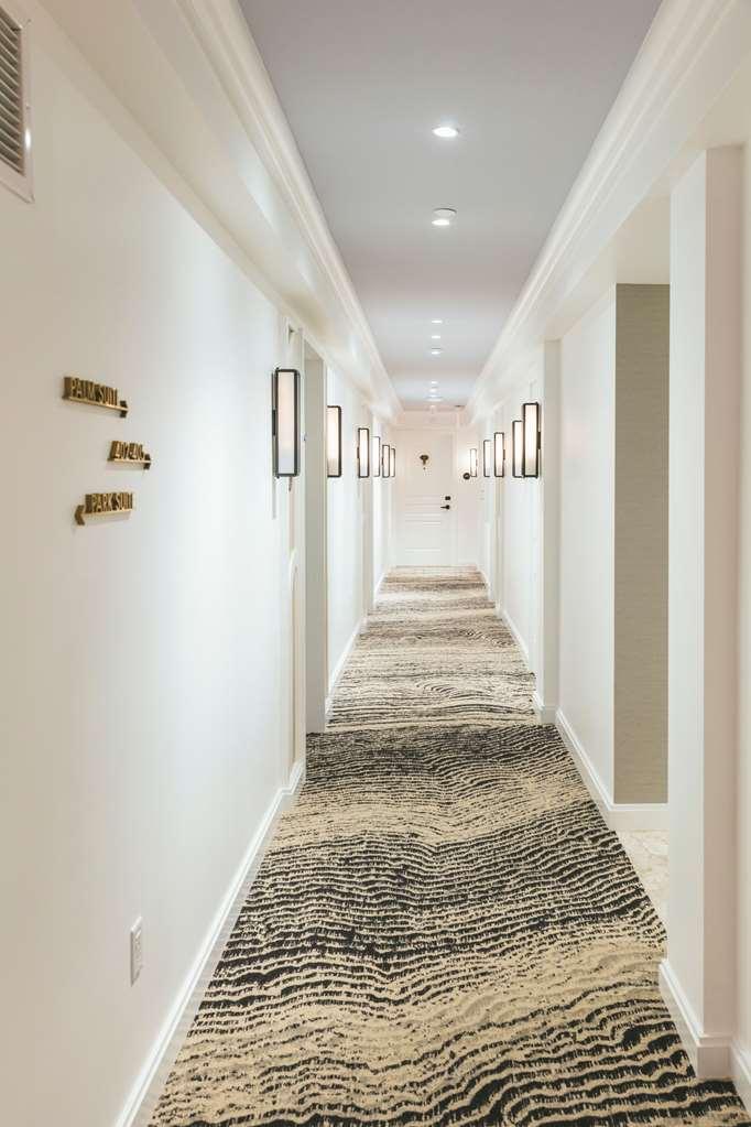 Hotel White Elephant Palm
